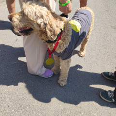 beh-za-lepsi-zitrek-2025-07