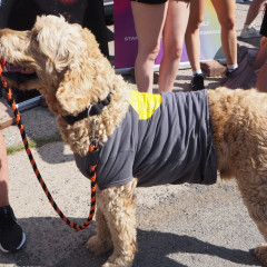 beh-za-lepsi-zitrek-2025-17